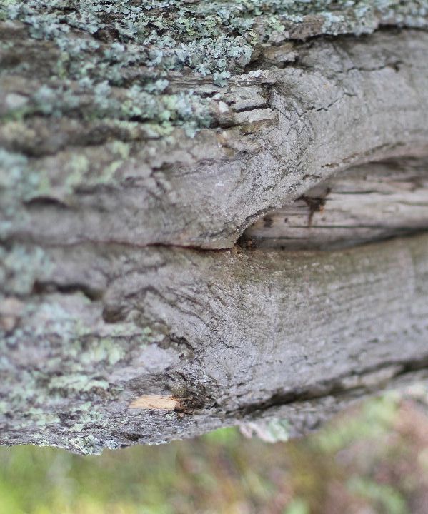 10 Mini Mental Vacations From the Stress of the Adult "real World"