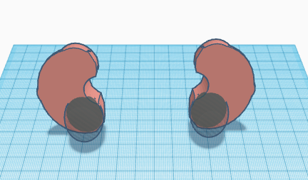 Starting With the Anatomy