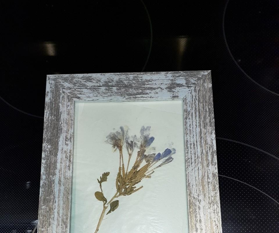 Easy and Quick Pressed Flowers