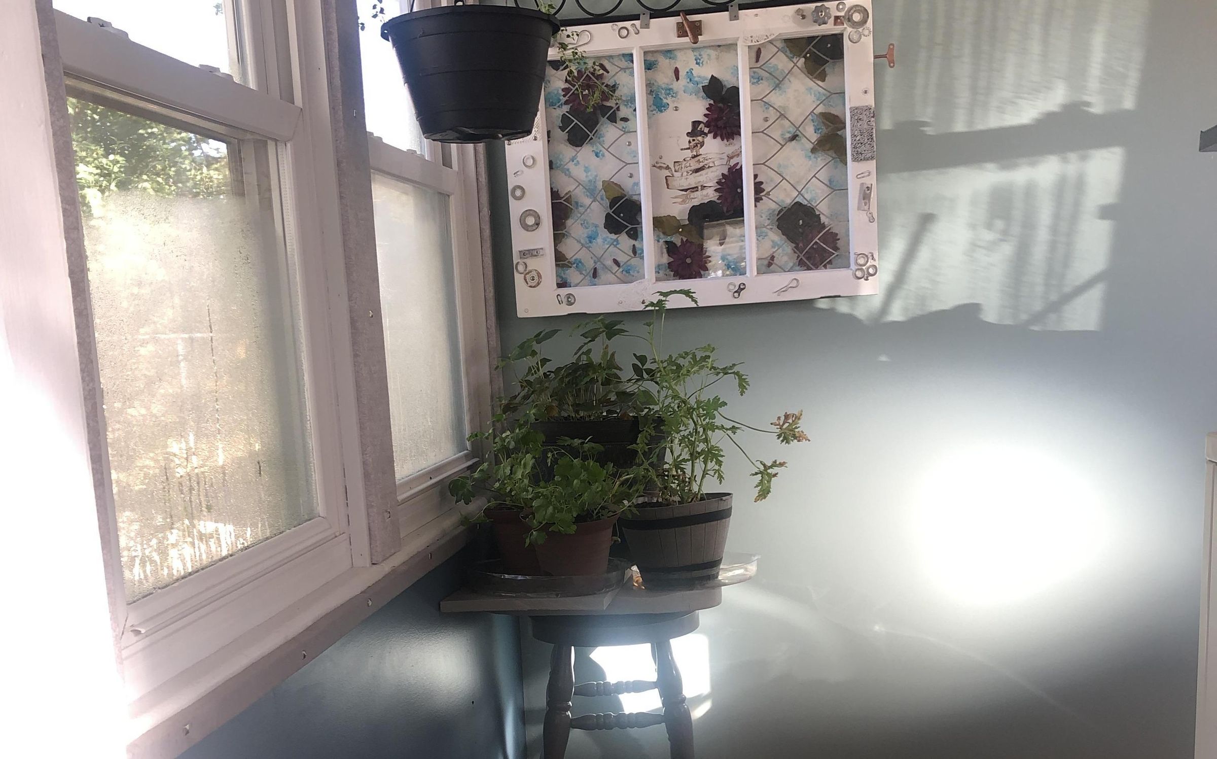 Window 