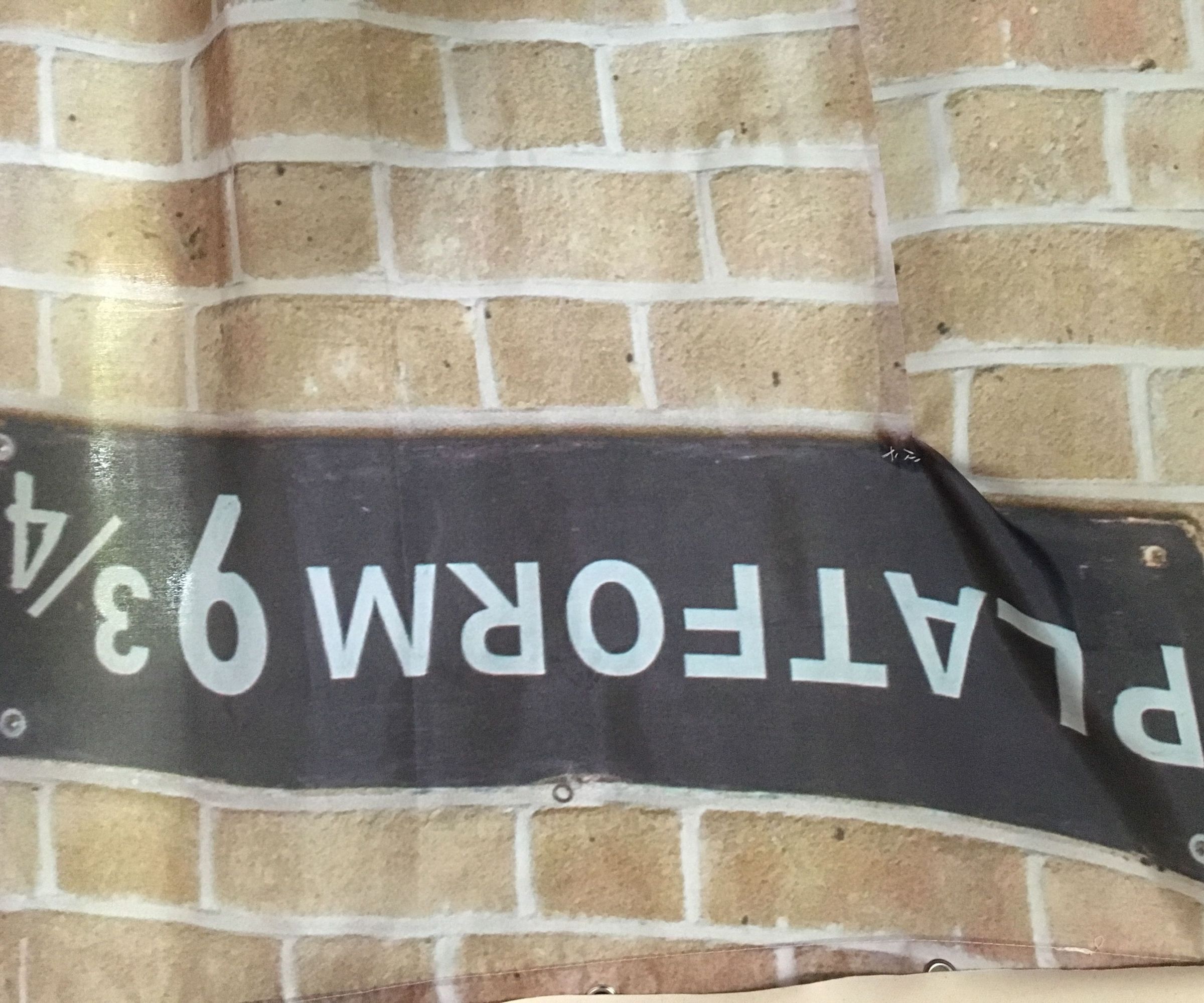 Harry Potter Camp