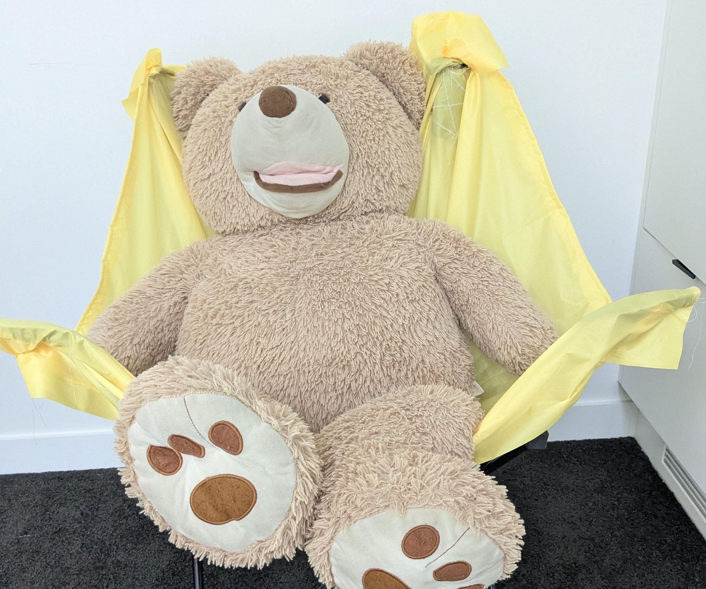 Camping Hammock Chair