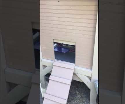 Automated Chicken Coop Door