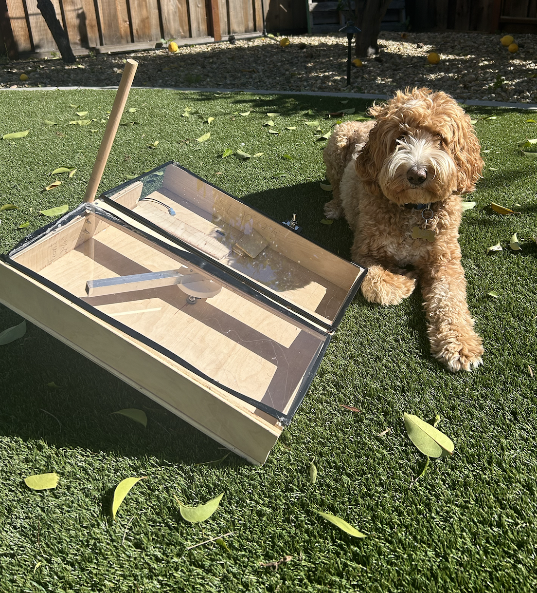 Dog Ball Launcher : 6 Steps - Instructables