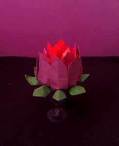 The Lighted LED on the Lotus Flower