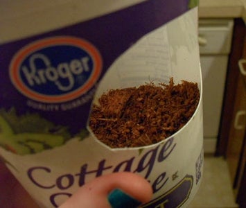 Alt for Arboreal Geckos/ Digging or Mini Nest Pit