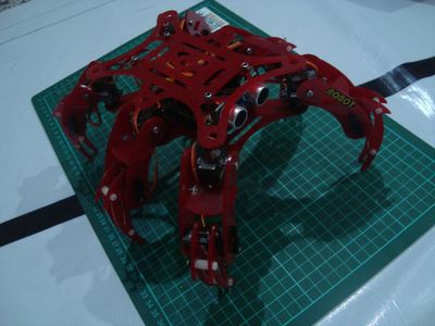 The Other Robot Project Using Acrilyc Frame