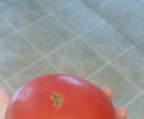 Homemade General Use Sauce