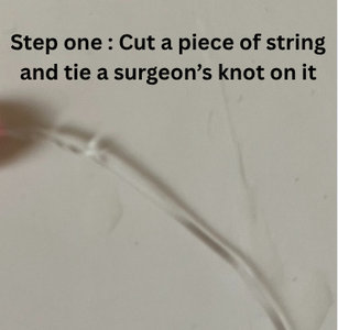 Make a Knot