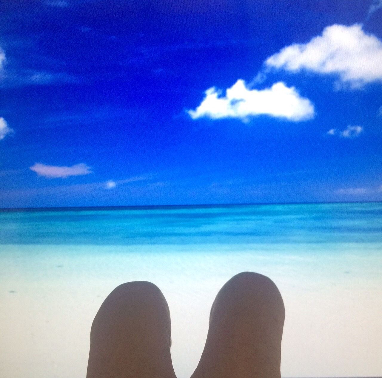 Funny Faked Holiday Pics