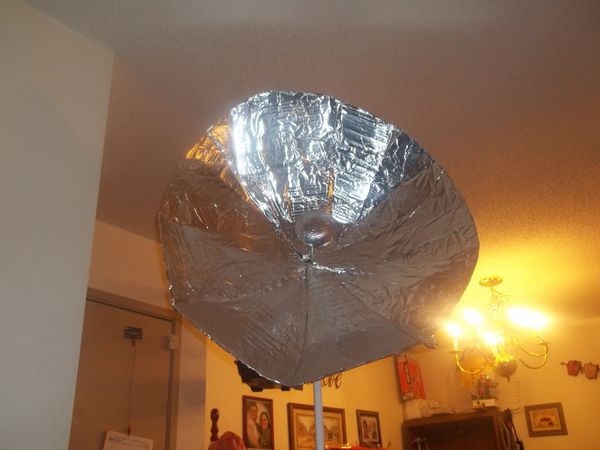 Parabolic Wi-Fi Dish