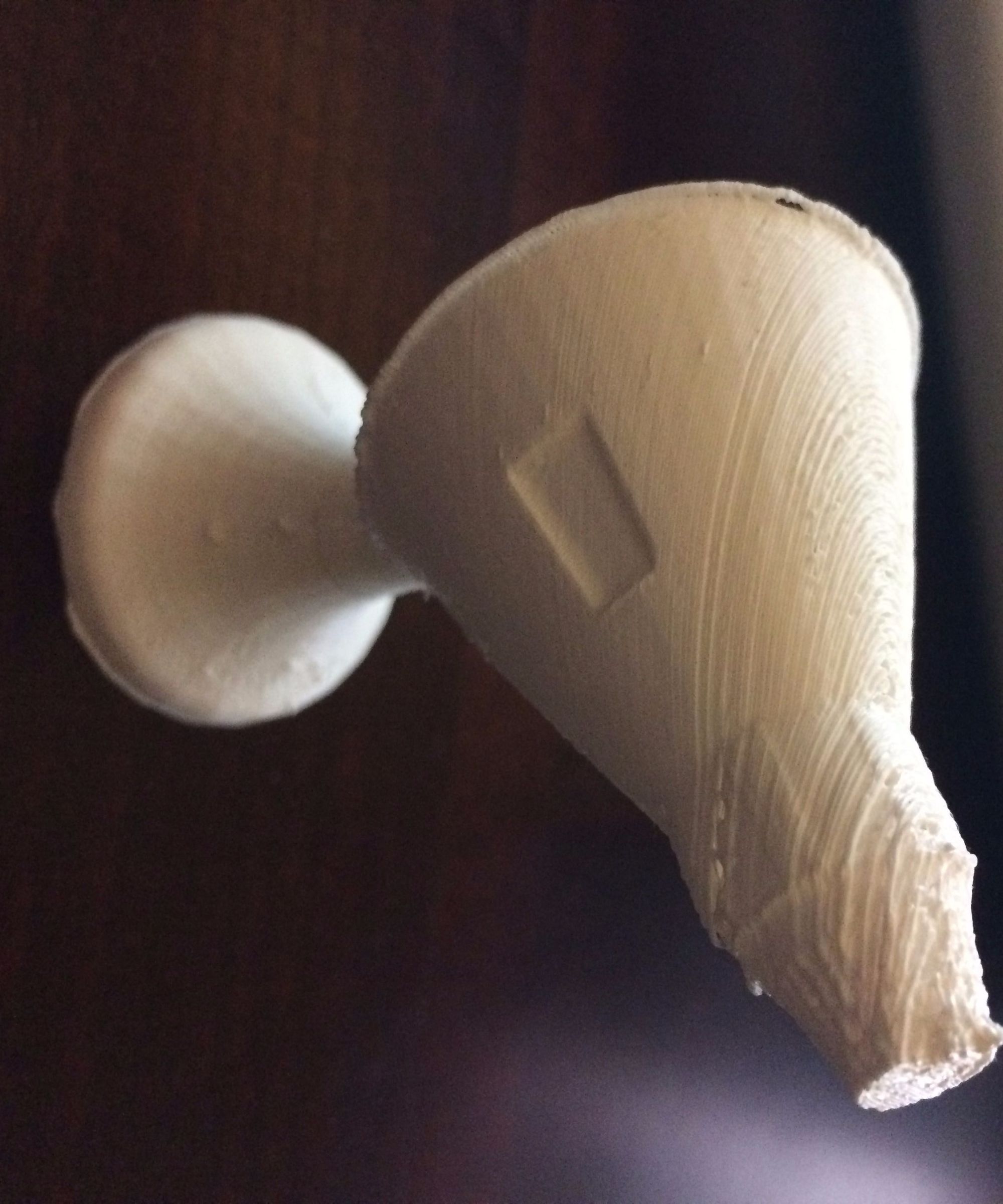 3D Printed NASA Chess Piece