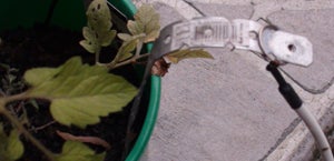 how to ground your garden