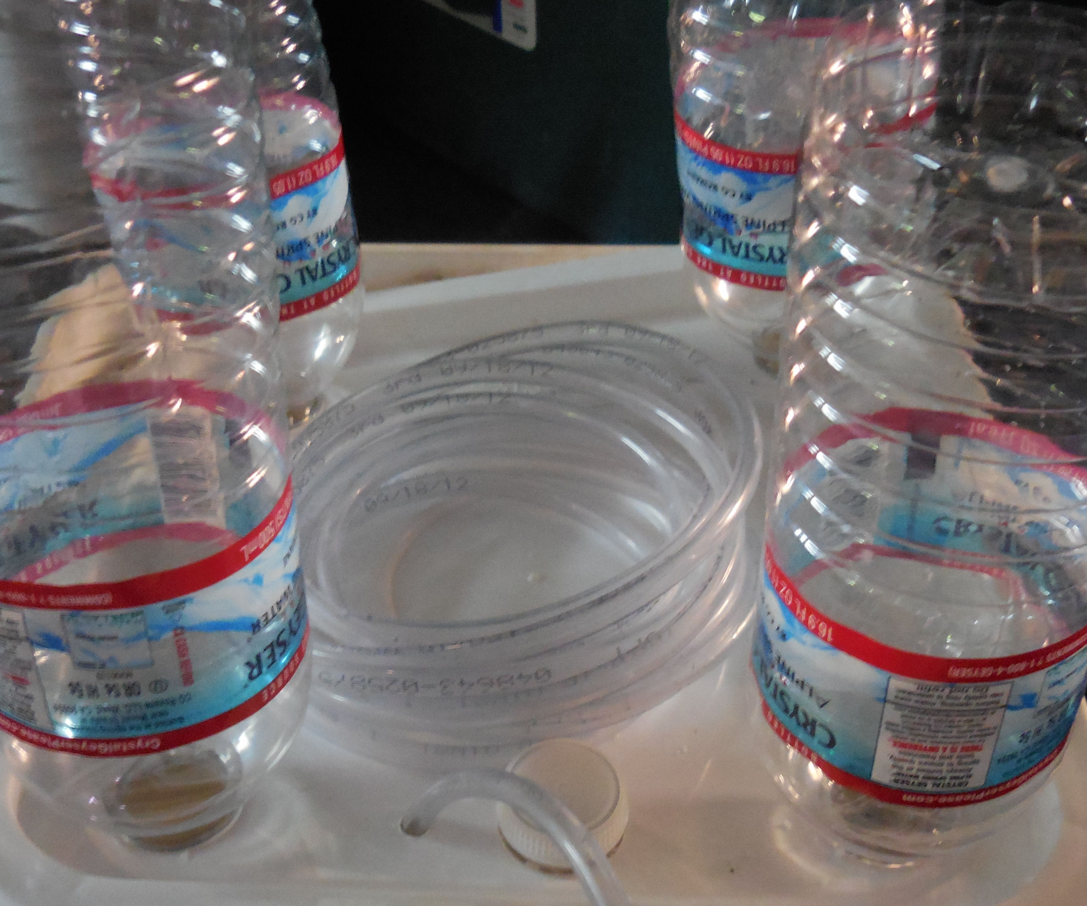 Upcycled DWC Bubble Bucket < $2