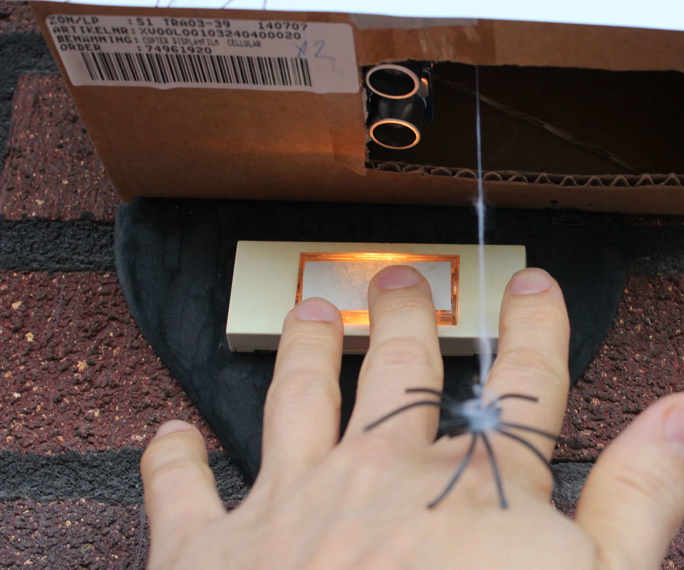 Dropping Spider on Doorbell - Halloween Scare Prank