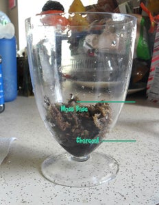 Layer 2: Moss Base 