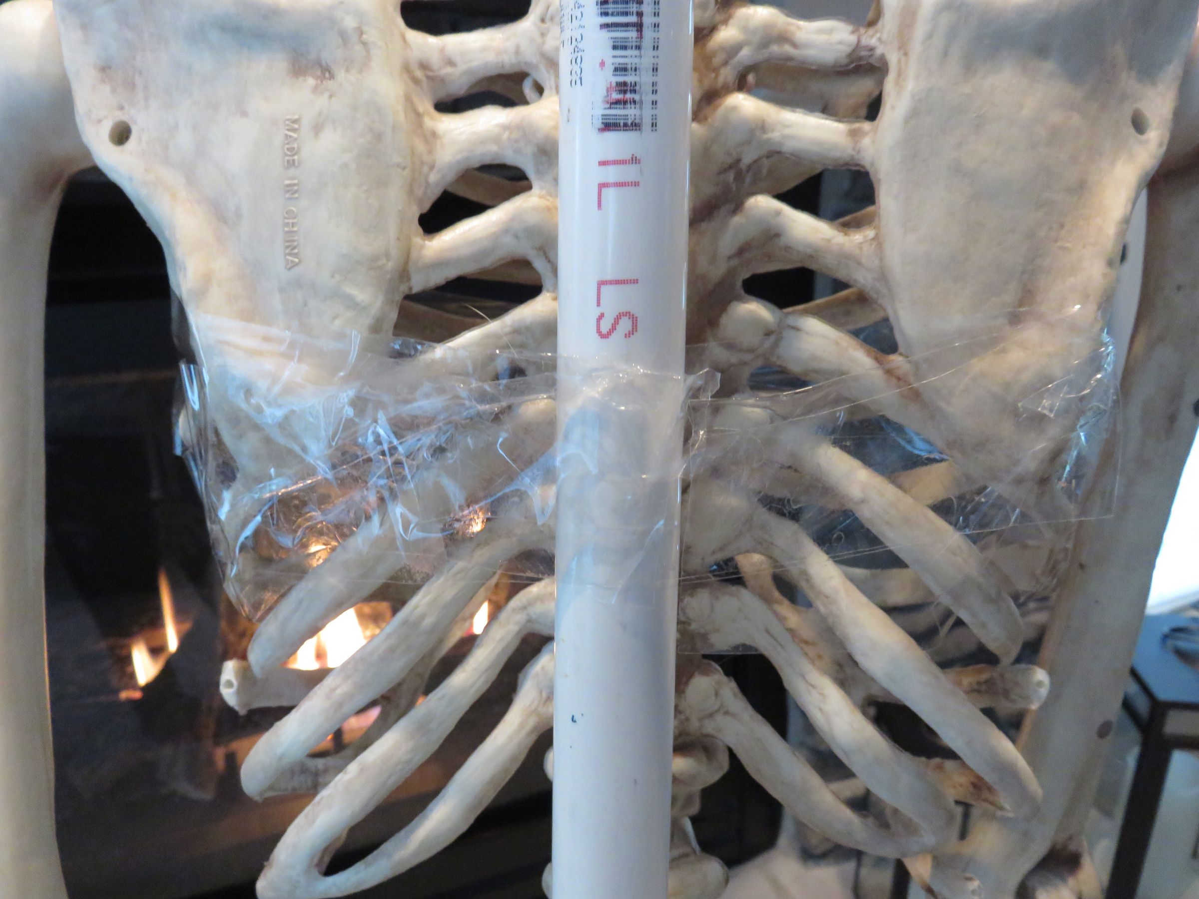 Skeleton Stand : 5 Steps - Instructables
