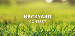 Backyard Contest