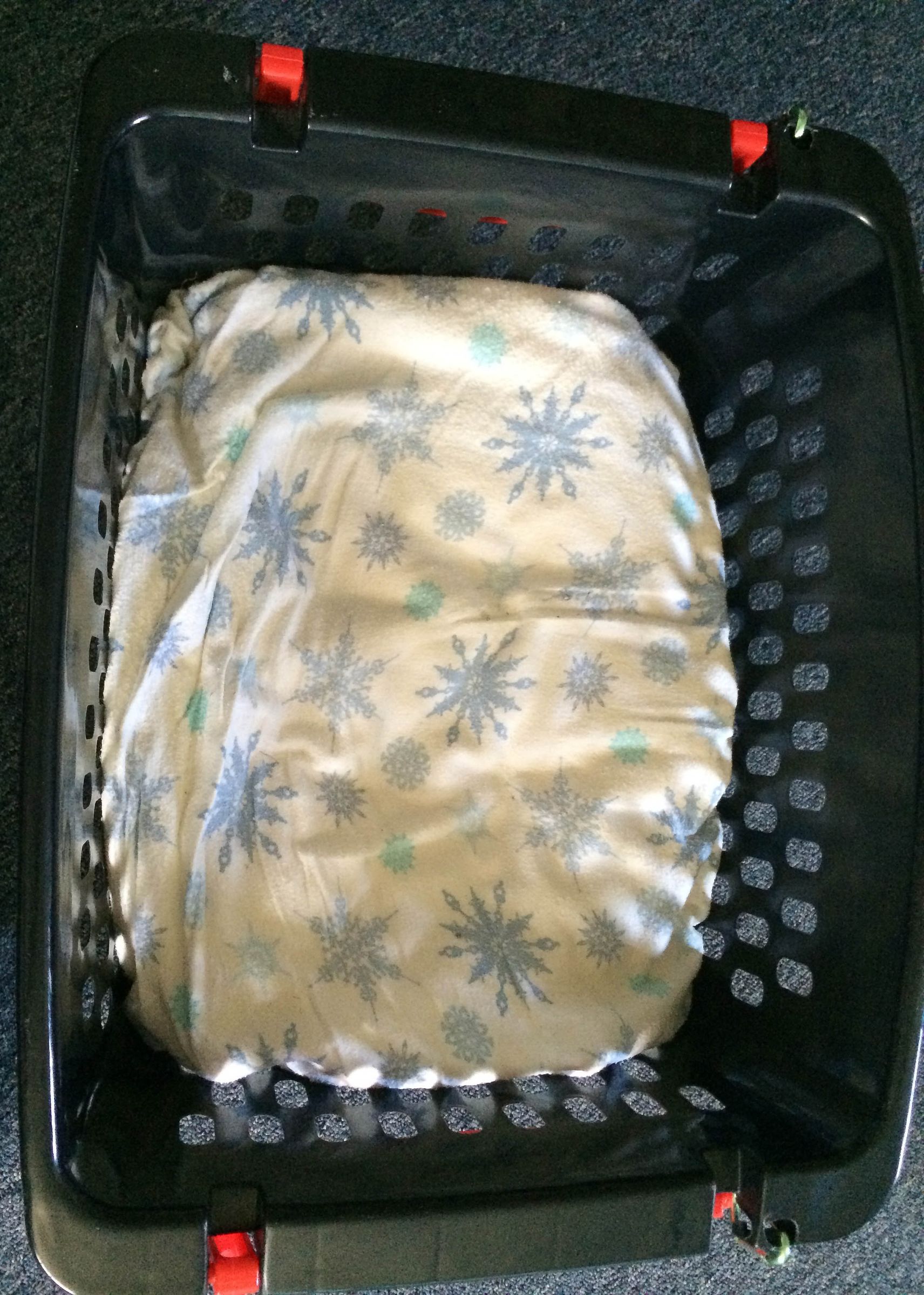 Cheap Safe Dog Car Seat 10 Steps (with Pictures) Instructables