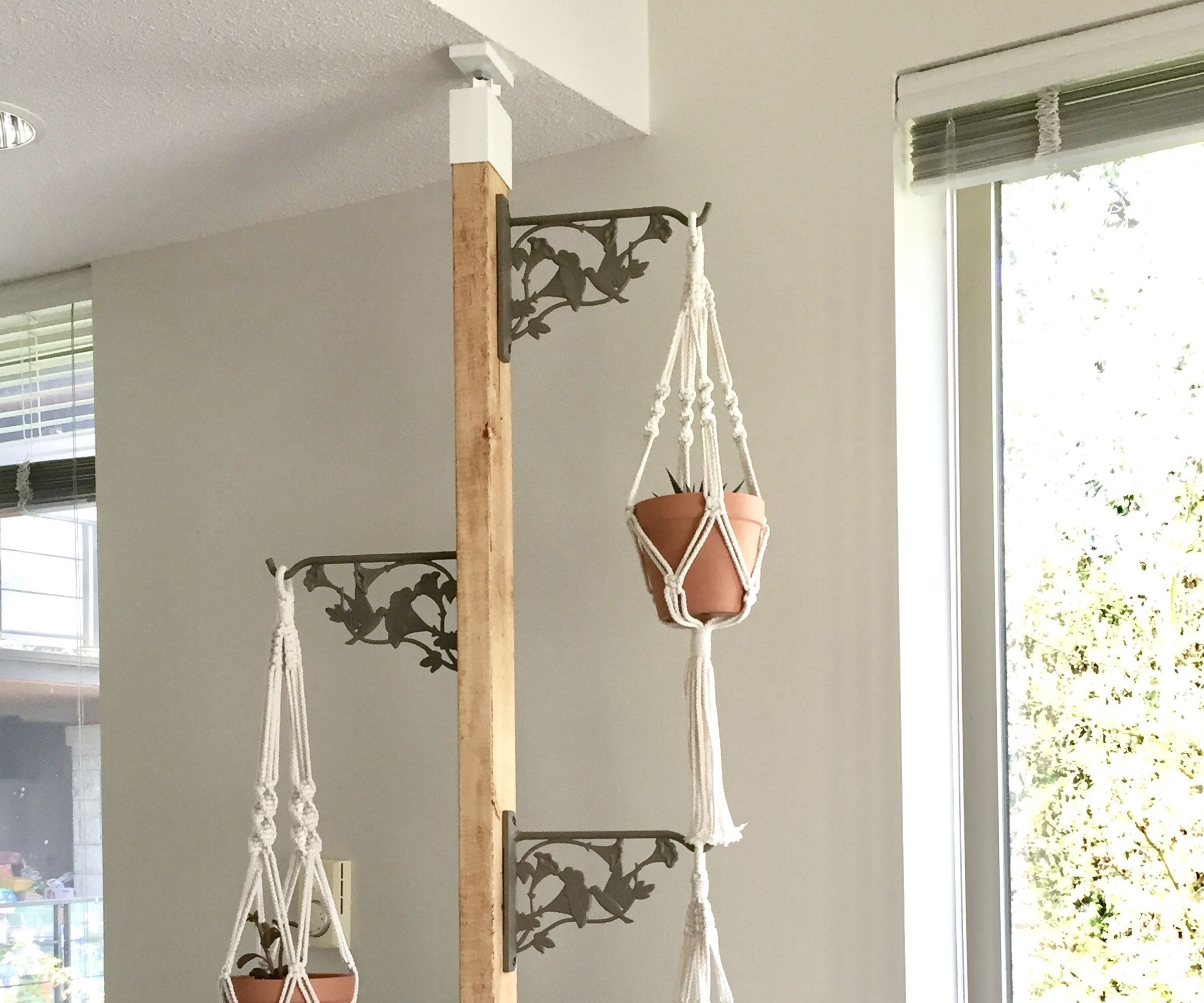 Hang Plants Over the Kitchen Counter (without Damaging the Wall)