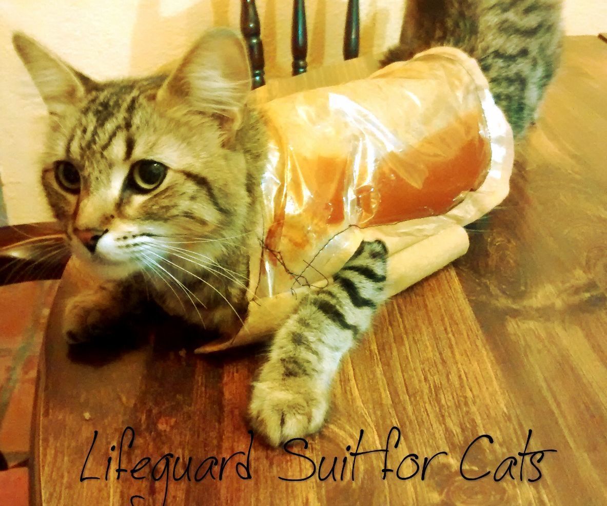Lifeguard Suit for Cats