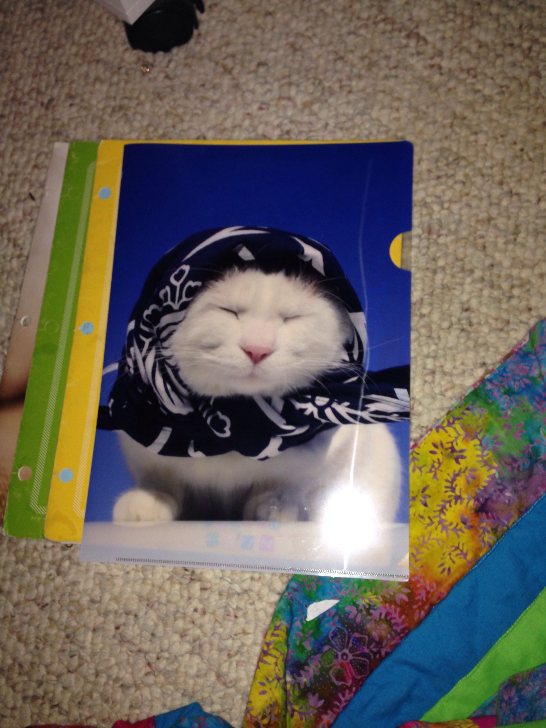 The Key To A Lighter Back Pack