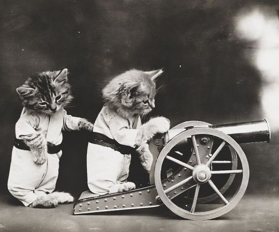 Critter Costumes -- Dress Up Your Pet!