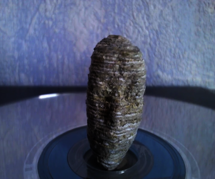 3D Cardstock Printing Without Printer