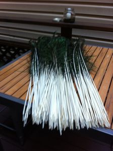 How to Make a Peacock Costume