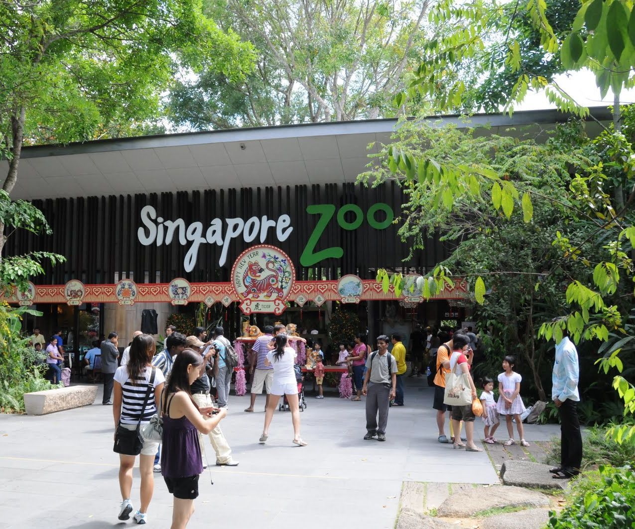 How to Maximize the Visit at Night Safari in Nusajaya