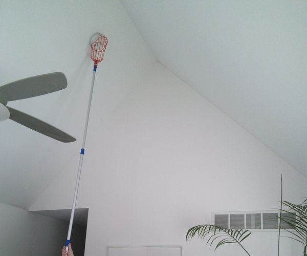 Reach a Smoke Alarm in a Cathedral Ceiling With an "Alarm Arm" (version 1)