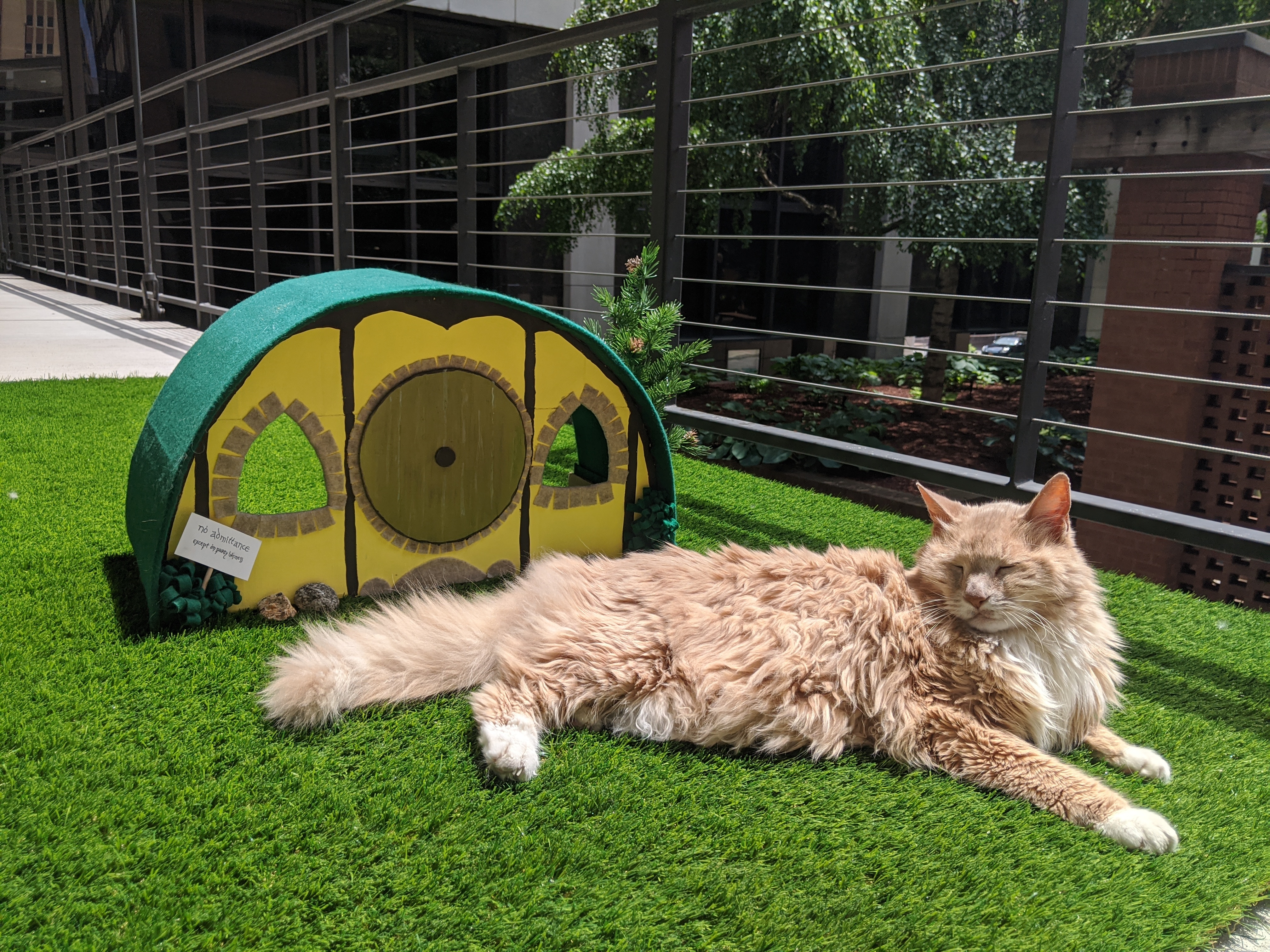 Hobbit Hole Cat House 12 Steps (with Pictures) Instructables