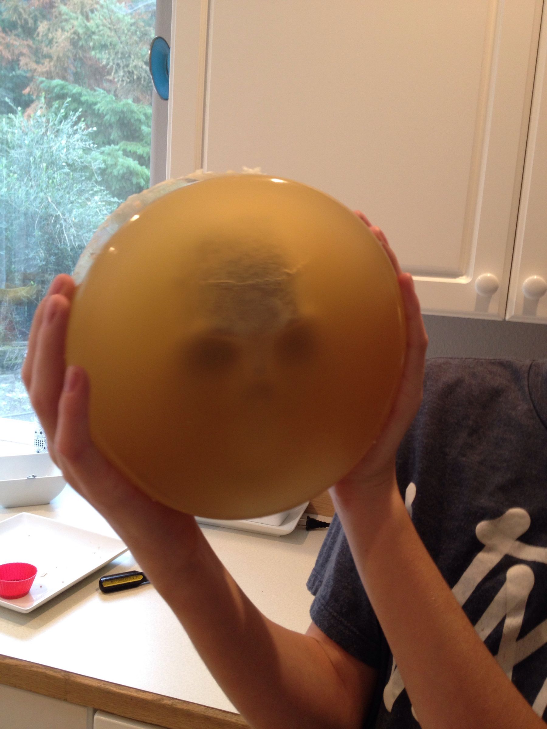 Making A Bleeding Ballistics Gel Head