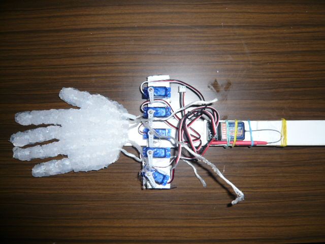 rc  Robotic hand