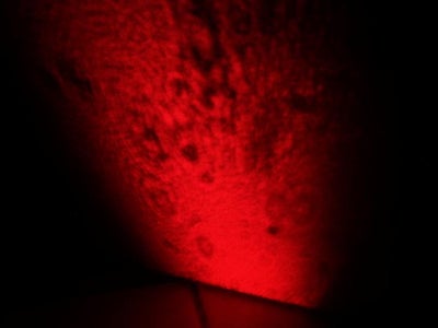 Laser Microscope. Simple But Awesome Project 