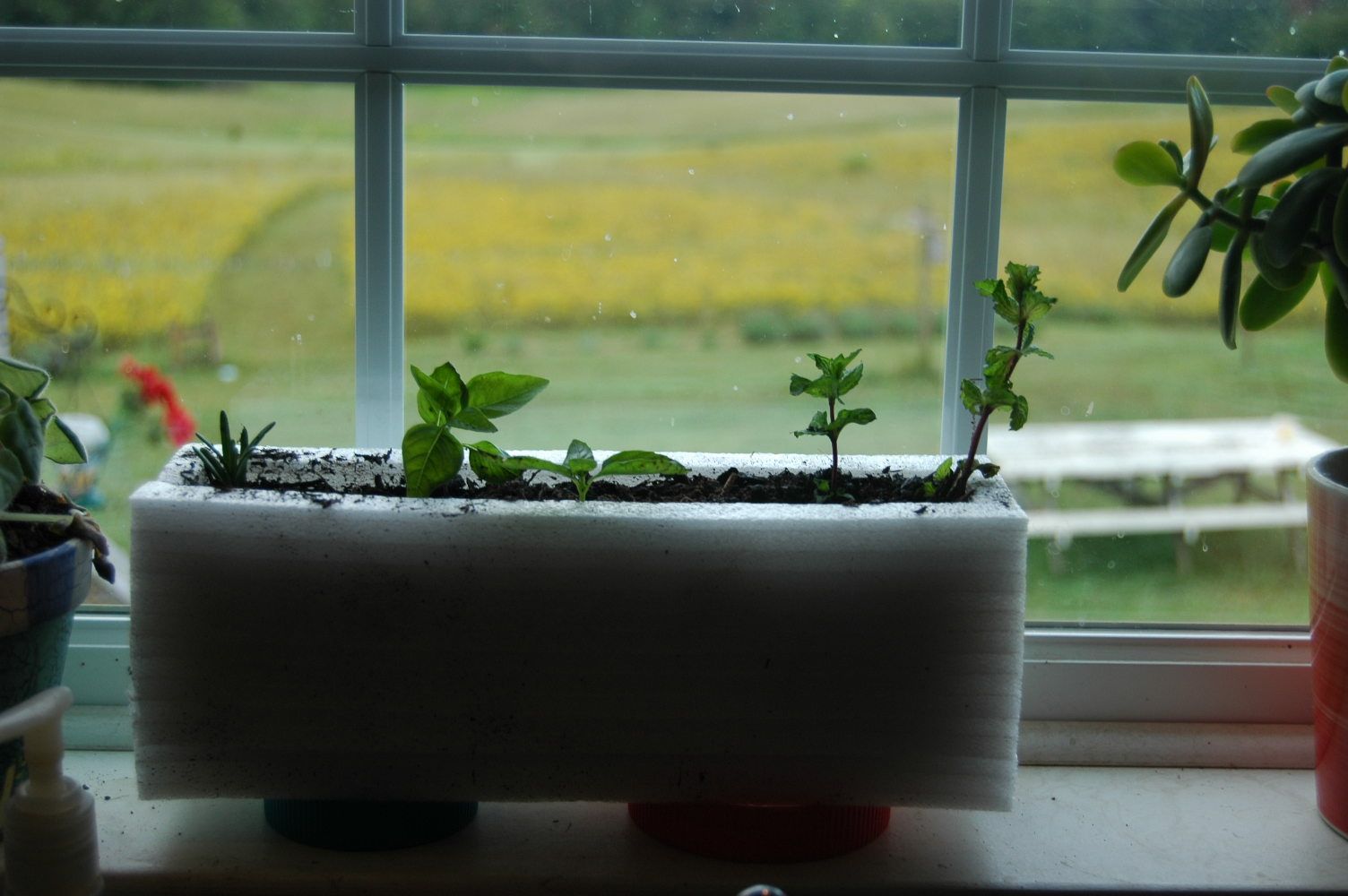 How to Make a Laptop Box Styrofoam Herb Planter