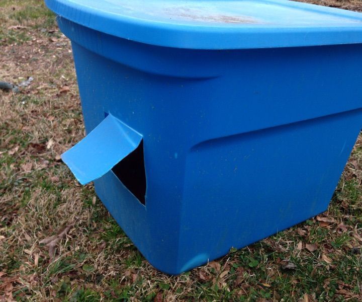 Build a Cat House