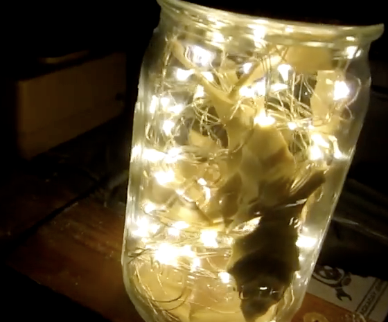 DIY Fairy Light Mason Jar W/Leaves