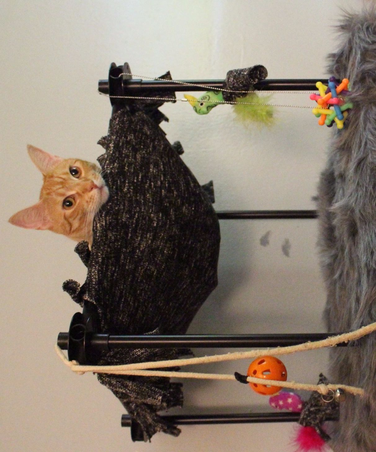 DIY Cat Tower Hack