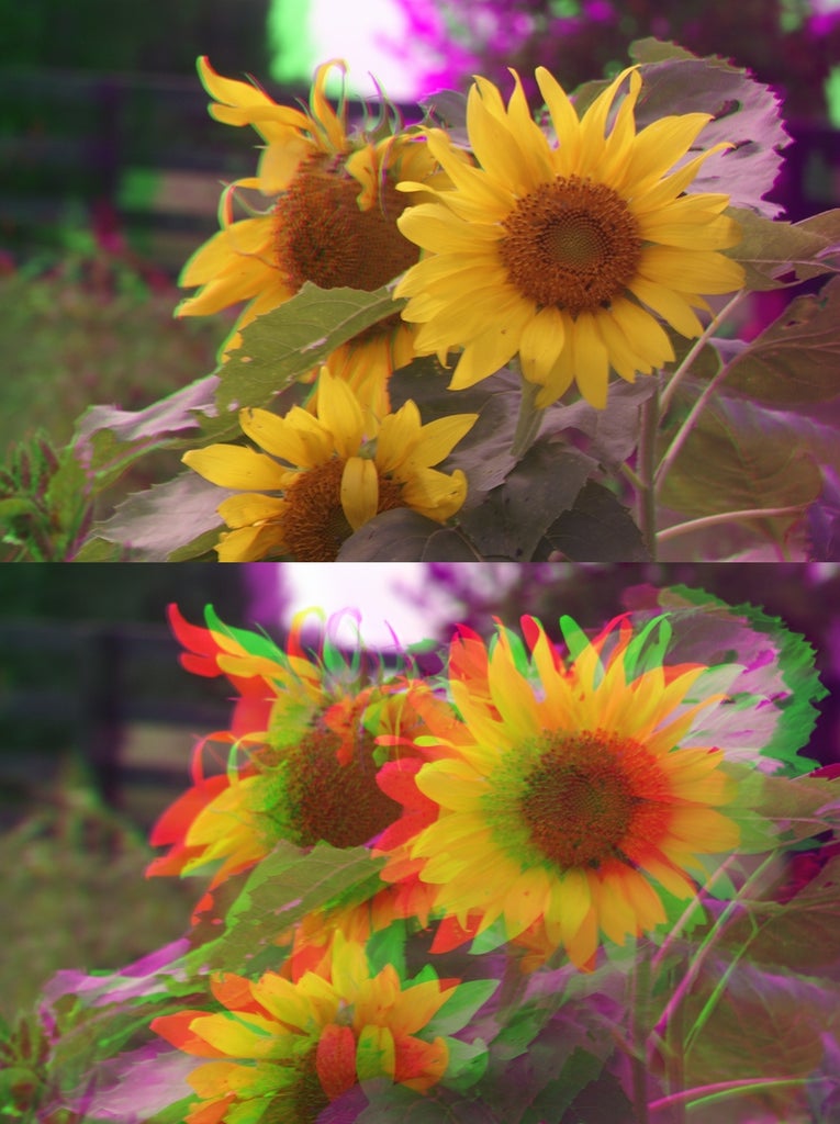 Use Your Camera to Capture "3D" Anaglyphs : 15 Steps (with Pictures