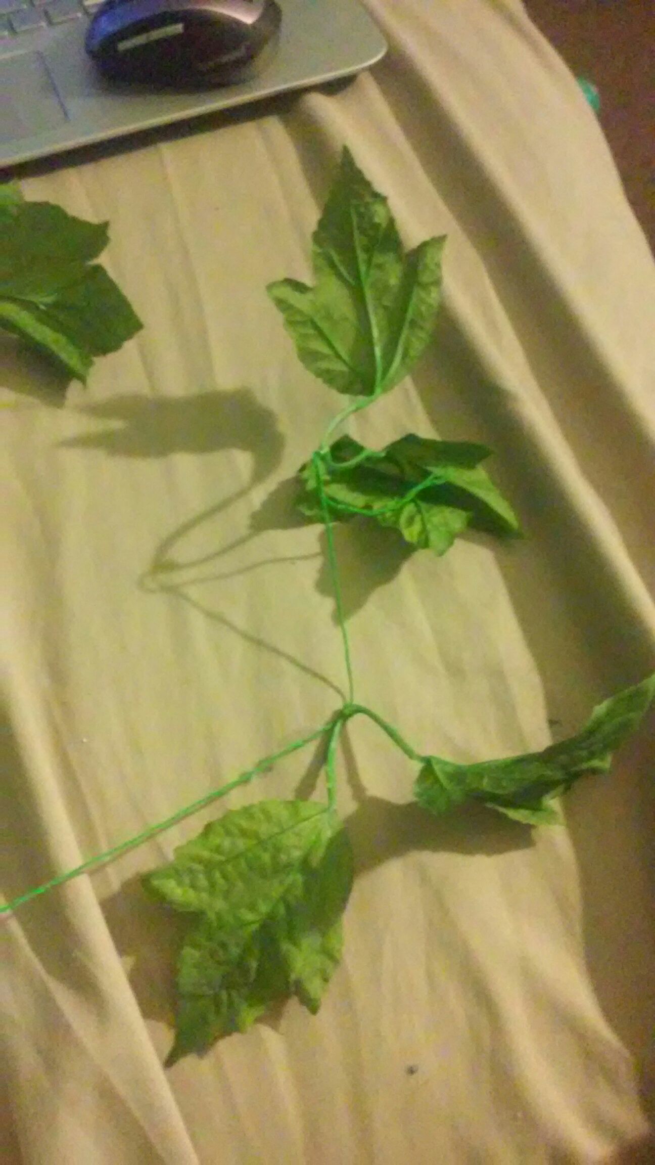 Leaf Garland