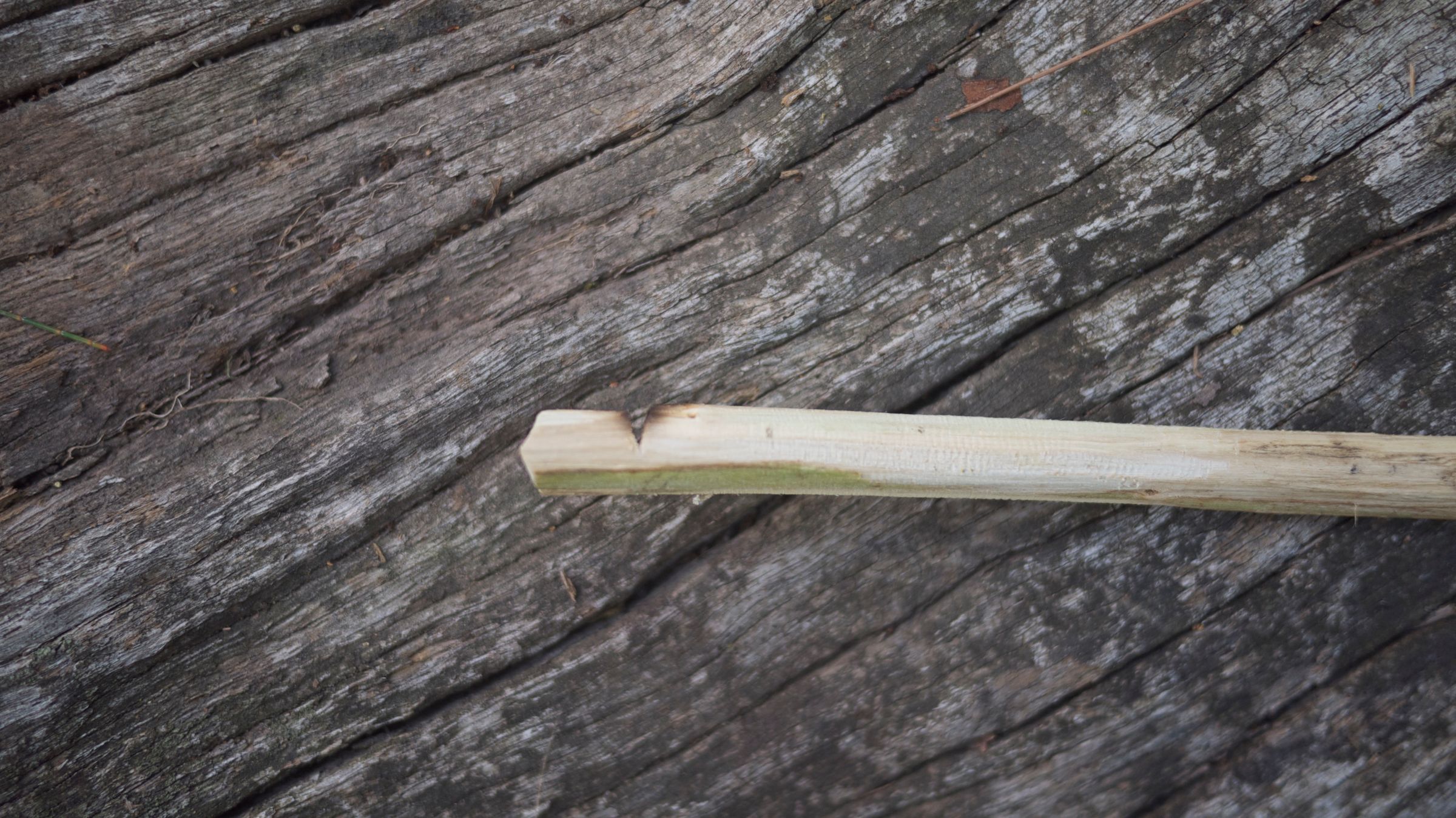 Hand Drill Fire With Green Wood! 9 Steps (with Pictures) Instructables