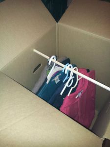 Wardrobe Box on Wheels