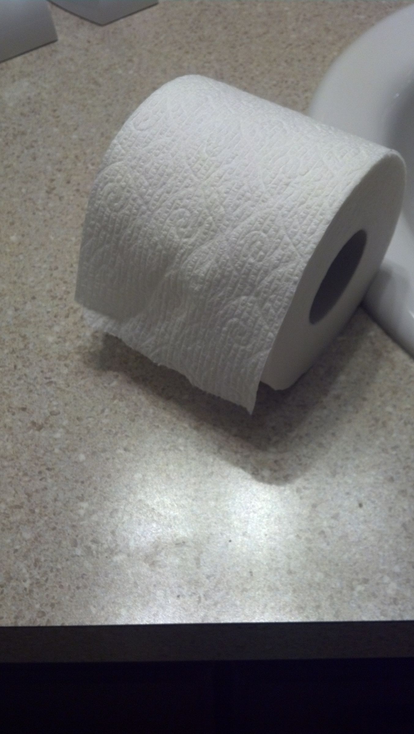 Three Way Bathroom Prank! : 4 Steps - Instructables