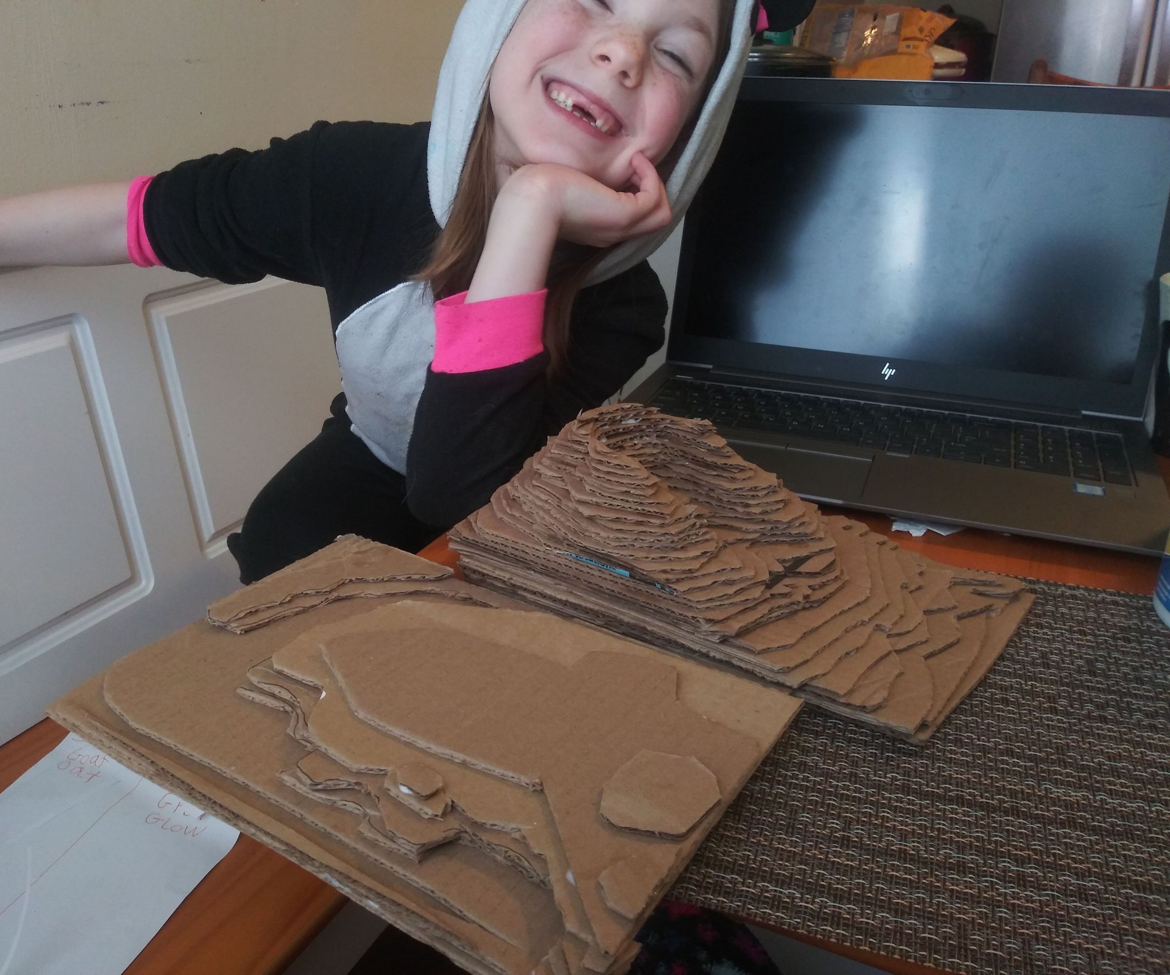 Cardboard 3D Topography: Favorite Places Project