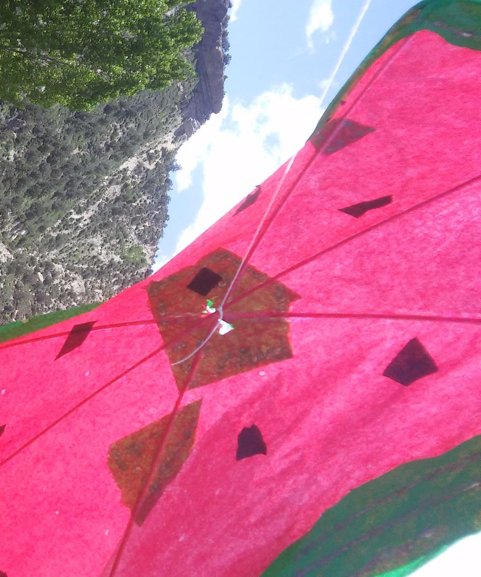 Watermelon Edo for Project Future Class