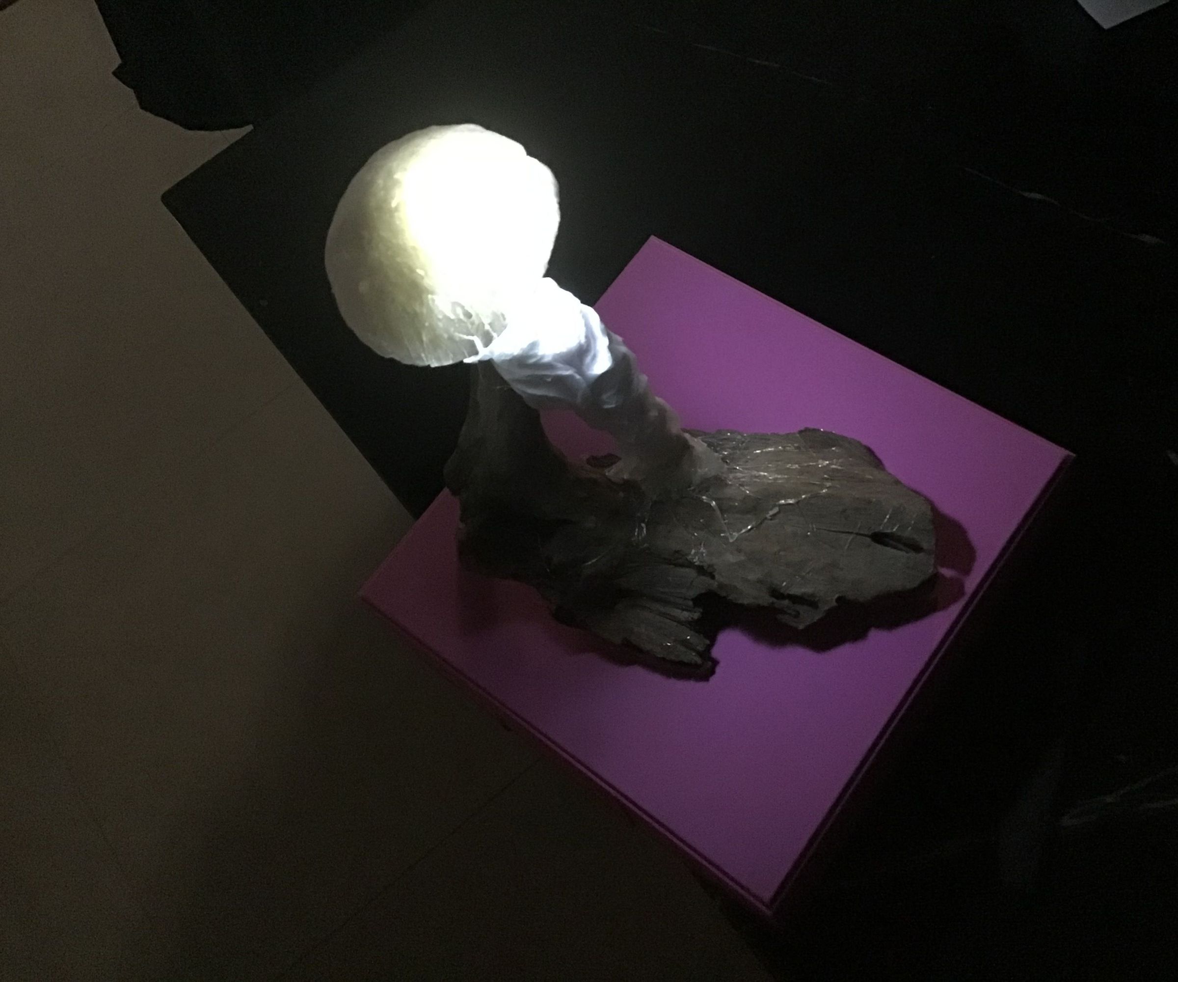 Mushroom Light