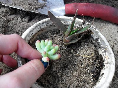 Easy Garden Key Hide : 6 Steps (with Pictures) - Instructables
