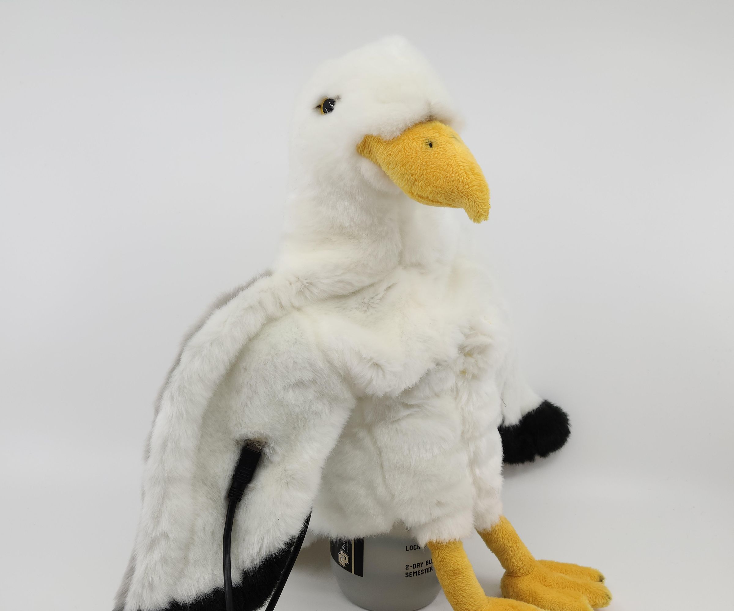 Cyborg Crafts: Sense Magnetic Fields Like a Bird - Sensory Extension Puppet