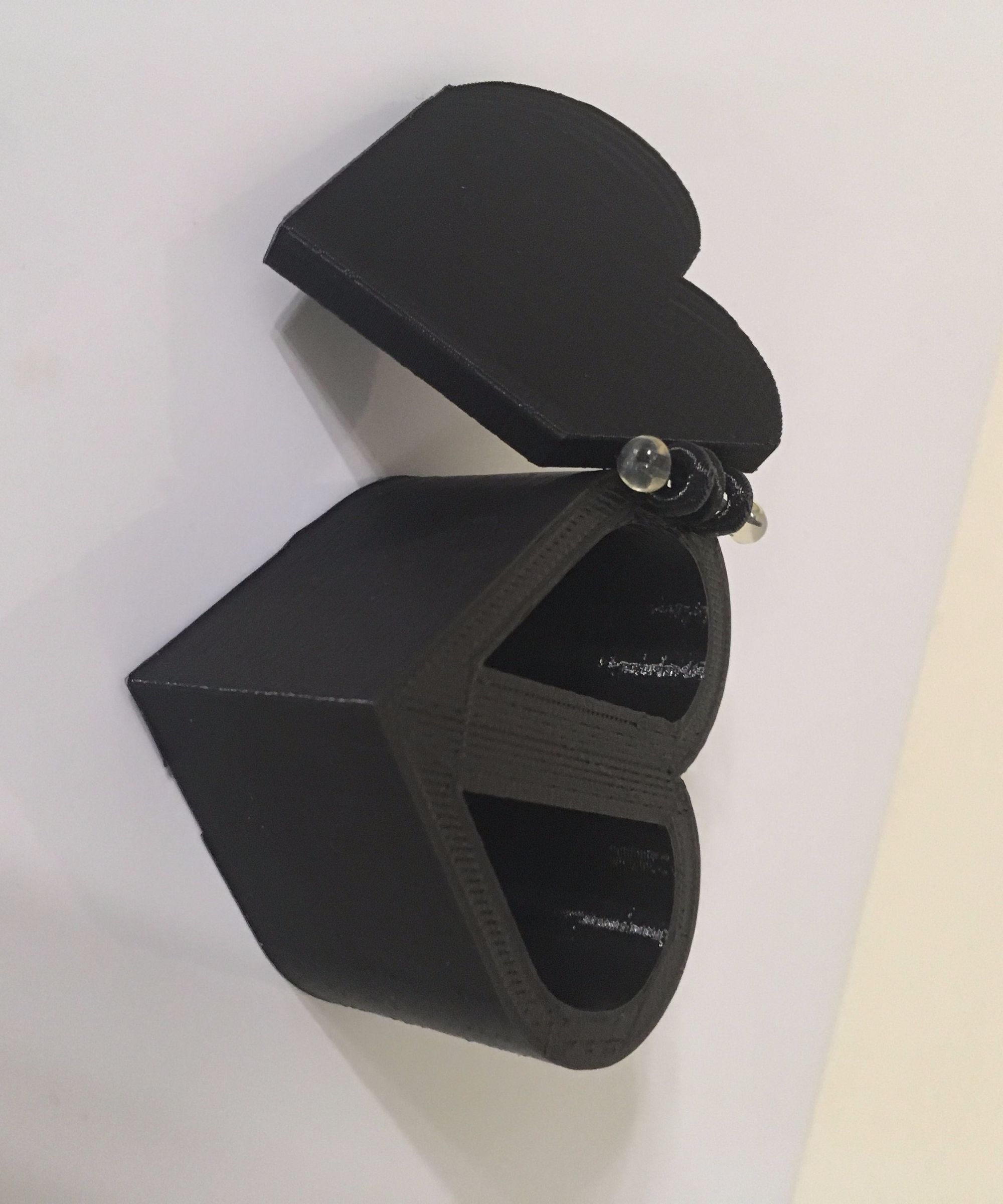 Don't Go Bacon My Heart